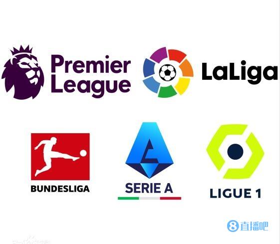 十字韧带受 十字韧带受